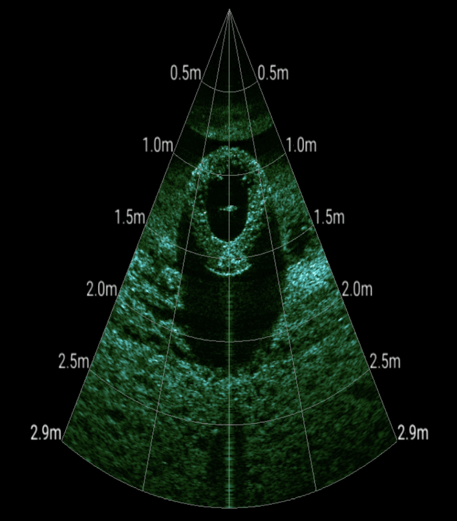 underwater dark scanning